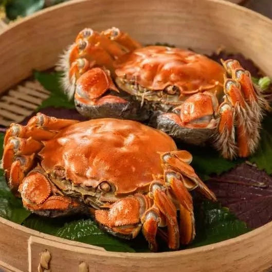 大閘蟹(零售)