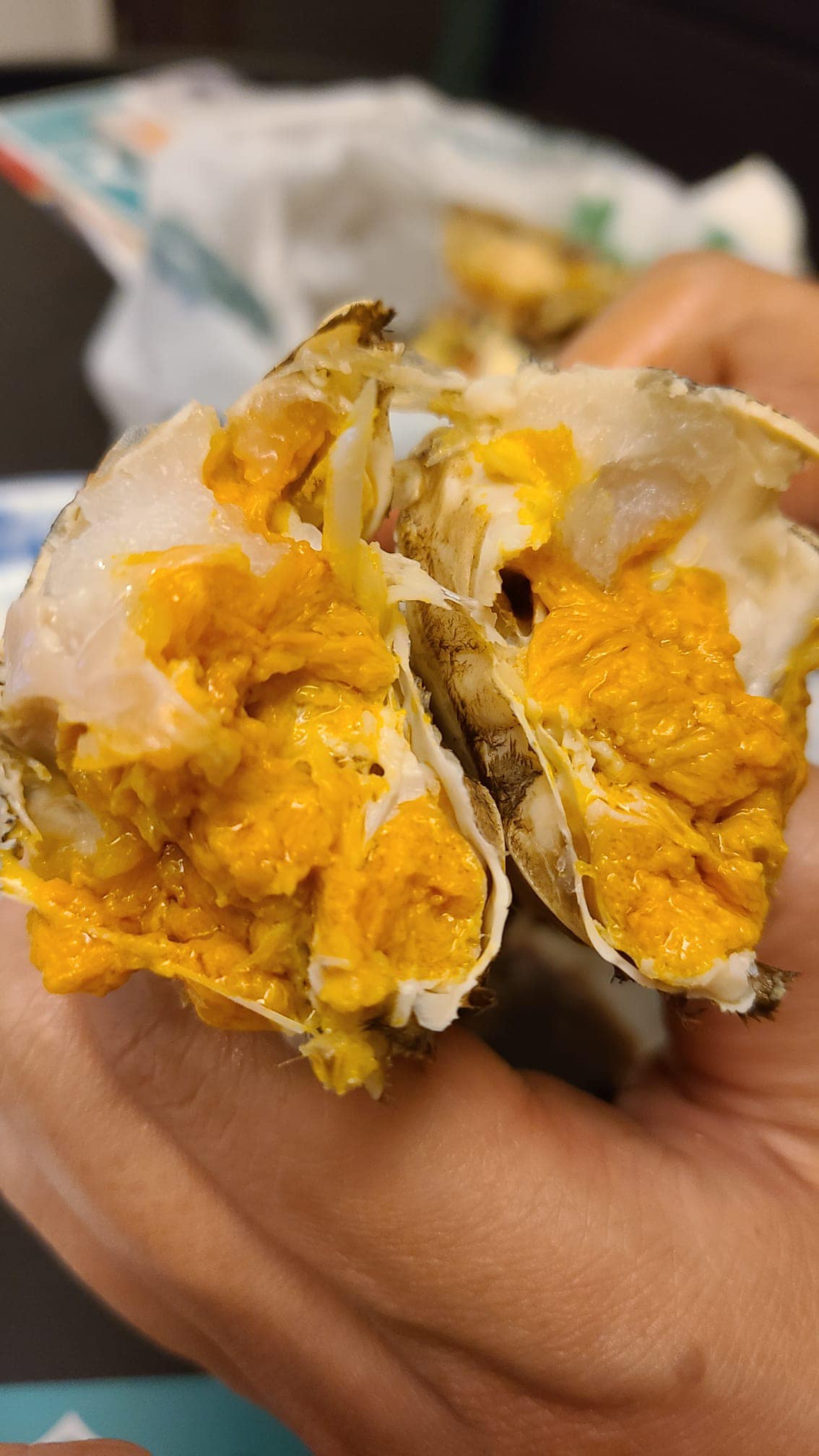 大閘蟹(零售)